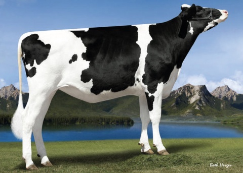 Dam: Cal-Roy-Al Candy 4740-ET