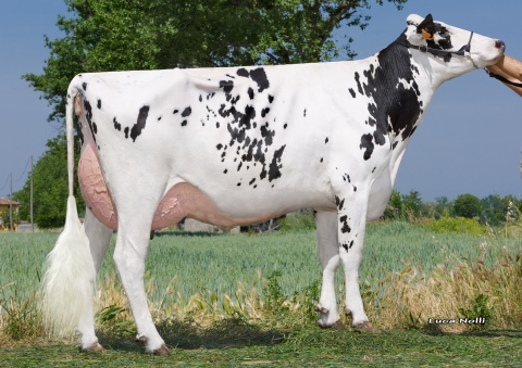 Dam: Zani Sound System Nora VG-85