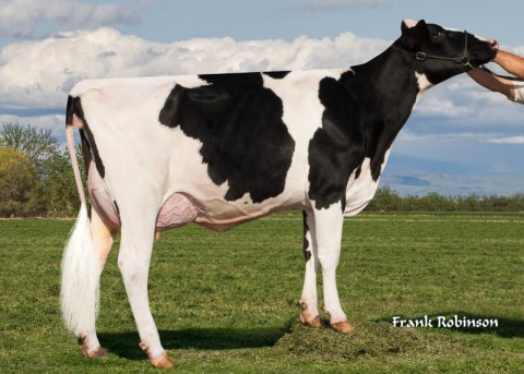 MGD: Endco Delta Chance-ET