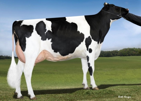 Dam: Farnear Darcie Danica VG