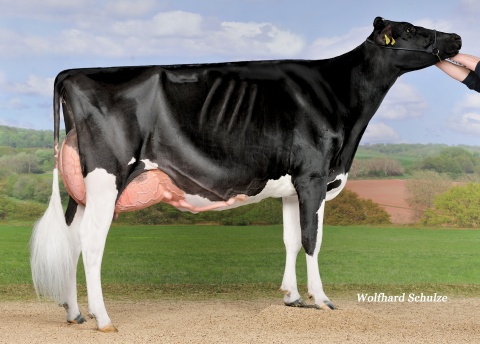 Dam: Galys-Vray EX-94