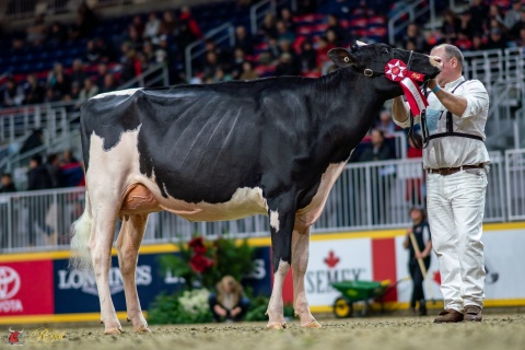 DTR. IDEE IMAC 645 VG-87-2YR