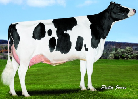 MGD: Sonray-Acres SOC Observr VI VG-88
