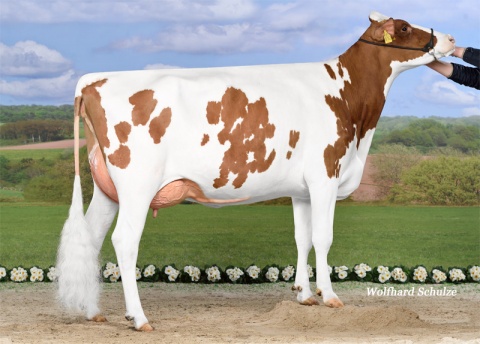 Daughter: Ulta GP-83