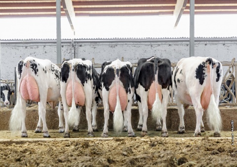 5 générations (de gauche à droite: mère, grand-mère, arr. grand-mère, 3e mère, 4e mère, 5e mère