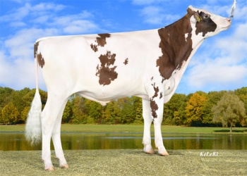 SAM P-RED- ET SAM P-RED- ET