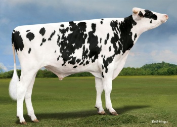 SUPERTRAMP SUPERTRAMP